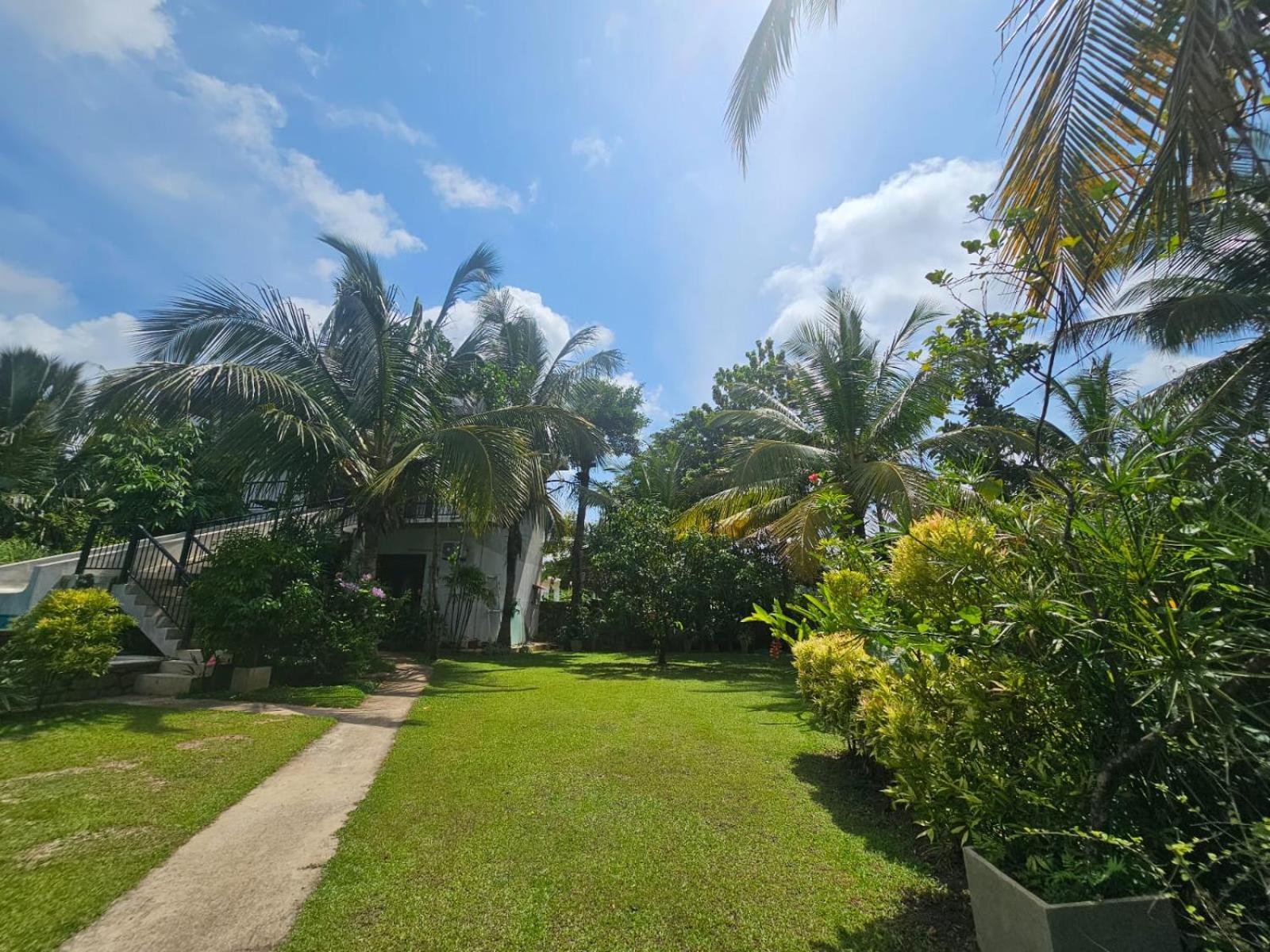 Optimum Residencies Panzió Negombo Kültér fotó