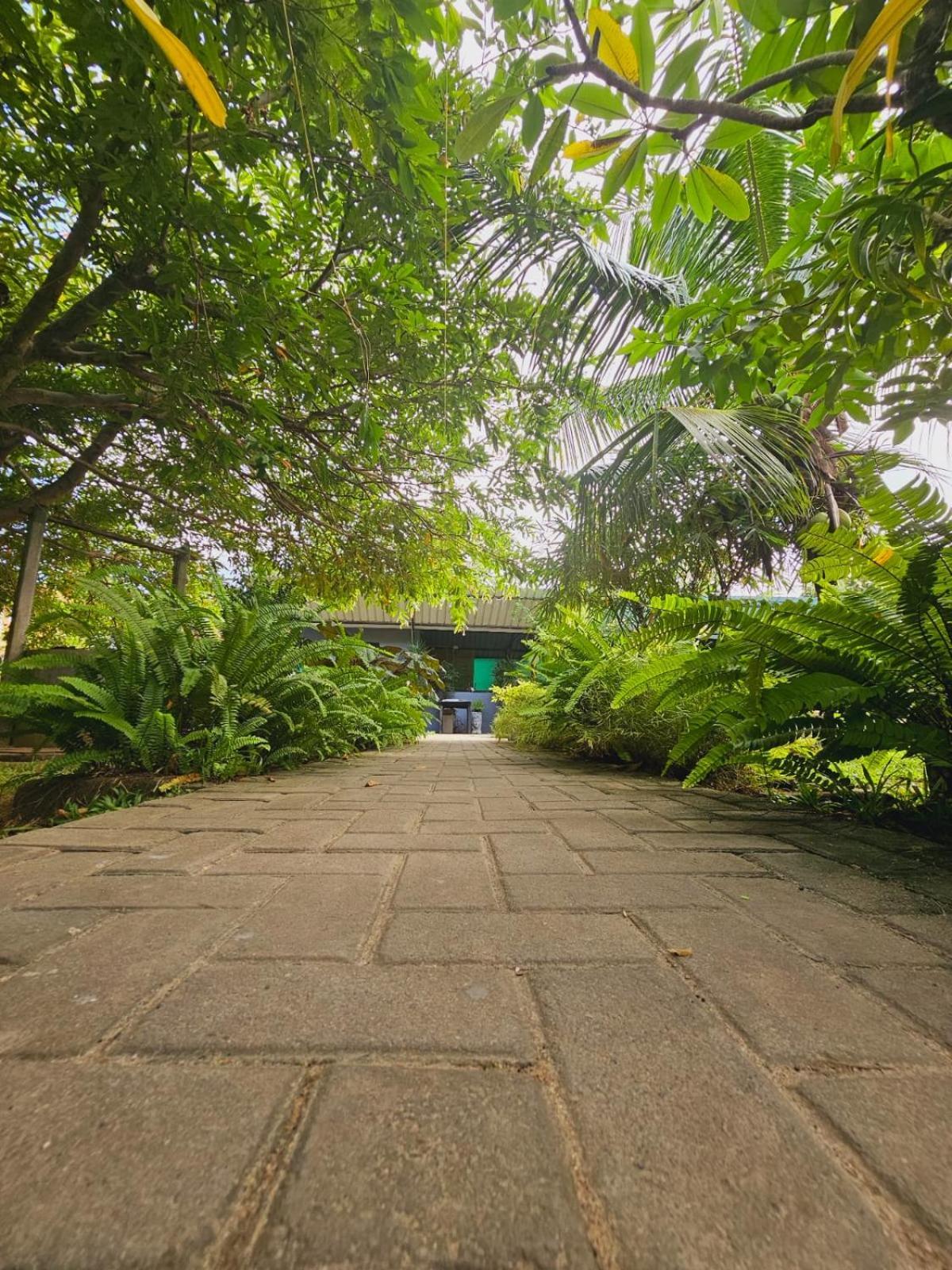 Optimum Residencies Panzió Negombo Kültér fotó